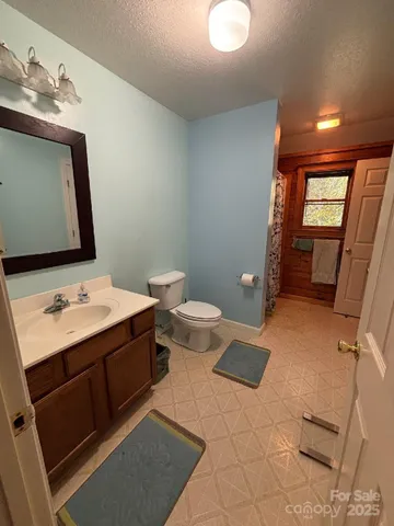 a bathroom with a sink vanity and a toilet