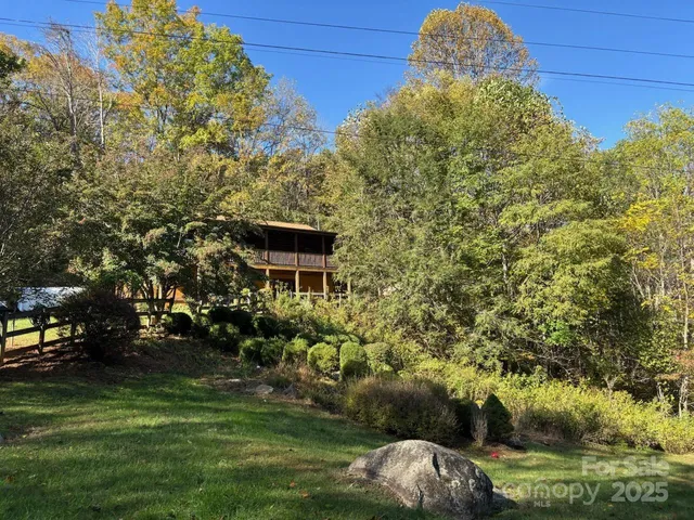 a view of a yard with plants