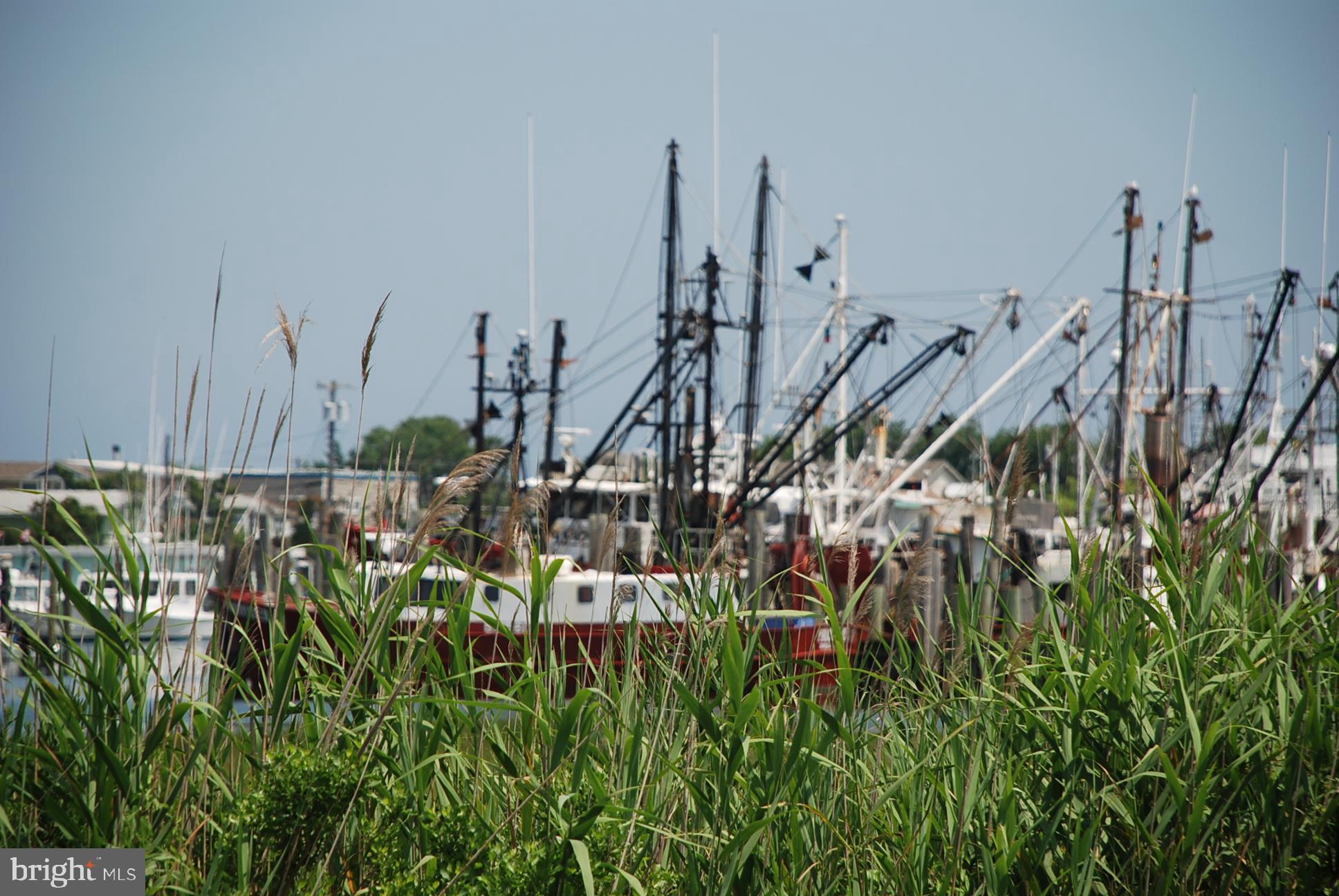 6 Auburn Road Long Beach Township, NJ 08006 - Photo 32 of 47 Gallery Image 32