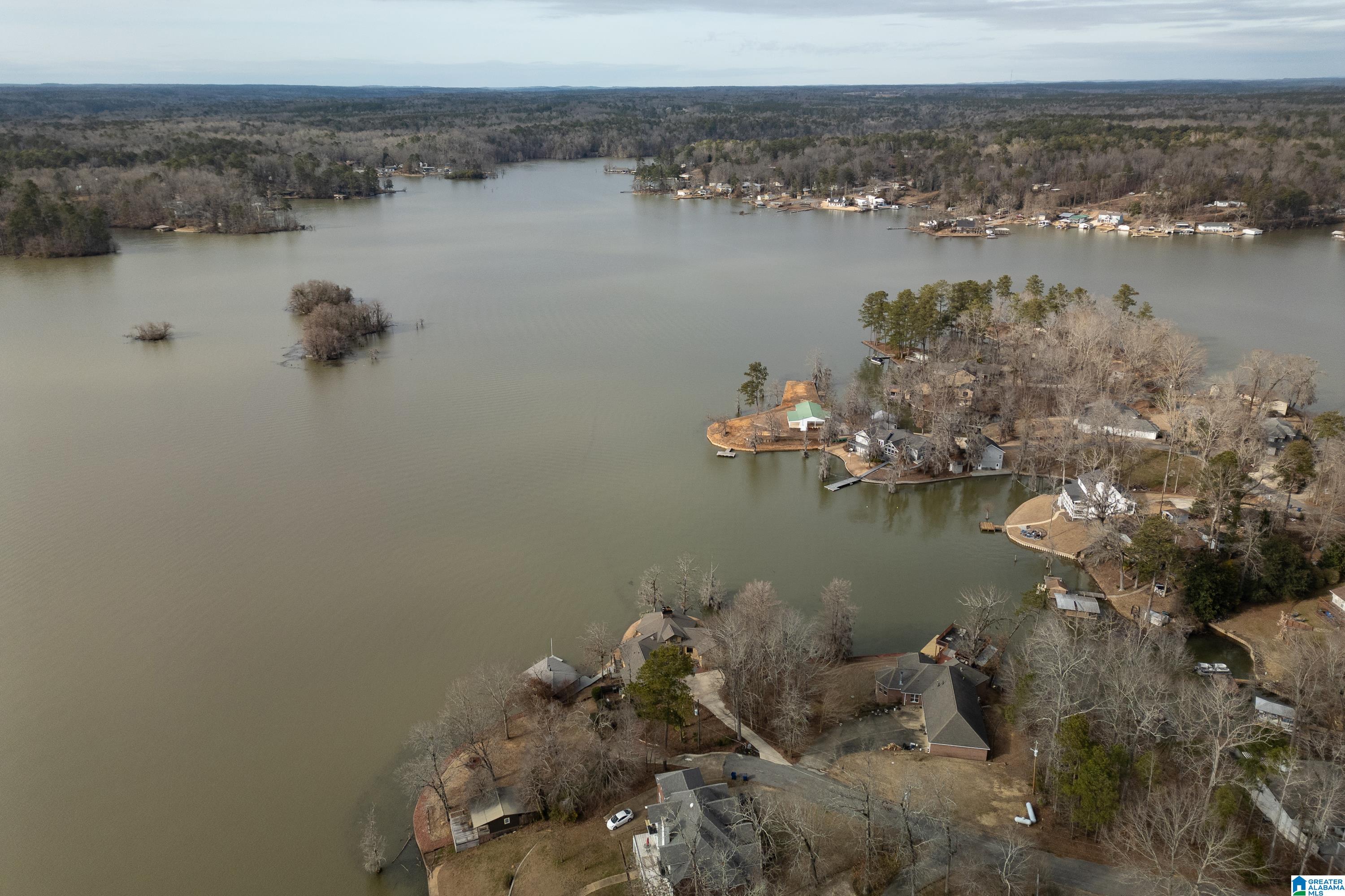 110 Greystone Point Titus, AL 36080 - Photo 67 of 74