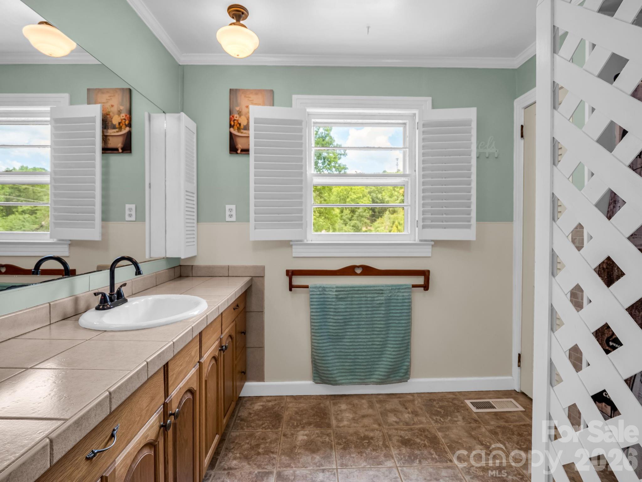 263 O Messersmith Road Lake Lure, NC 28746 - Photo 23 of 43