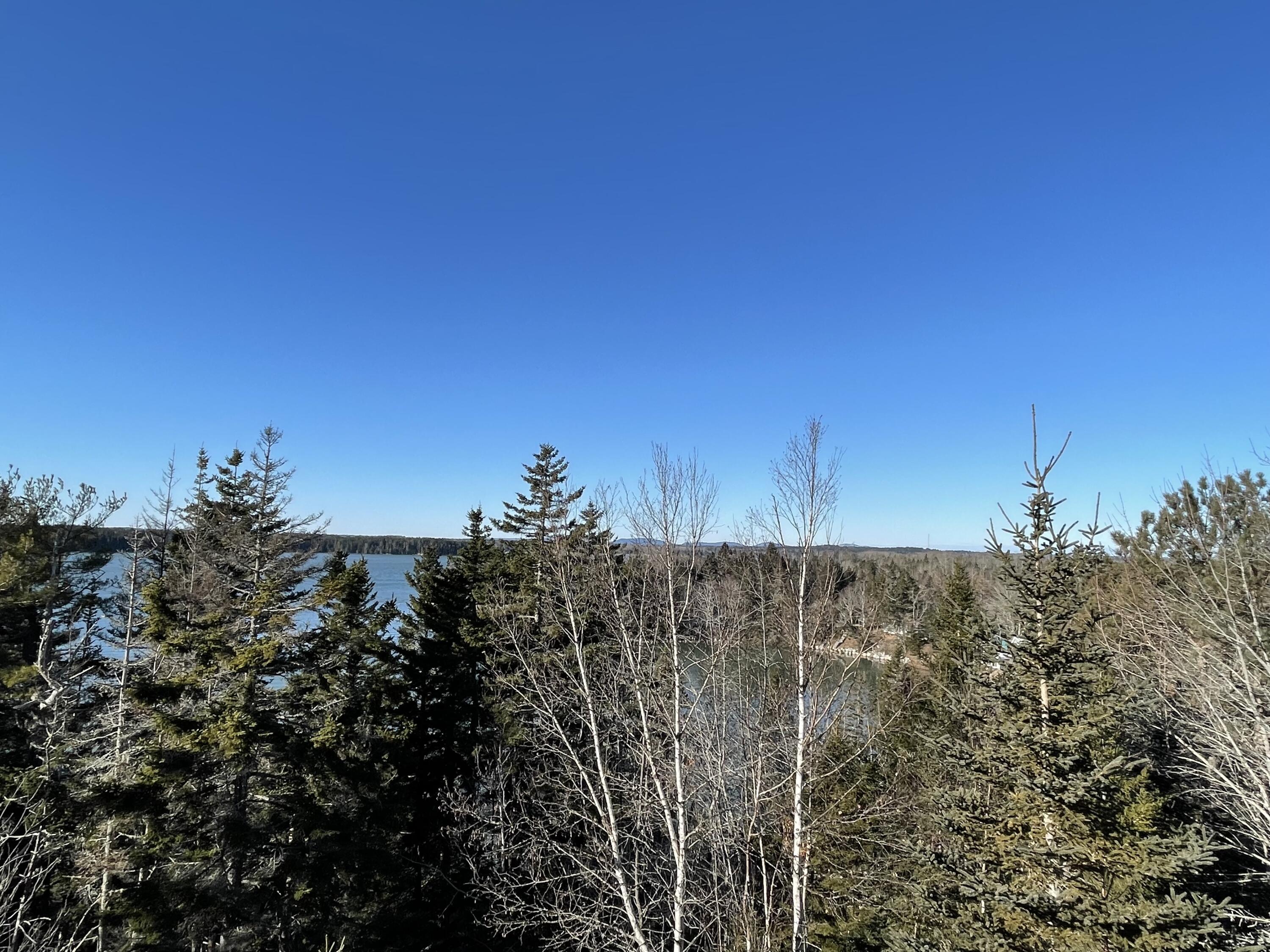 501 Rays Point Road Milbridge, ME 04658 - Photo 36 of 41 IMG-0908