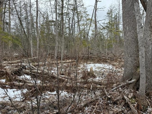 0 Pioneer Road Beulah, MI 49617 - Photo 2 of 6