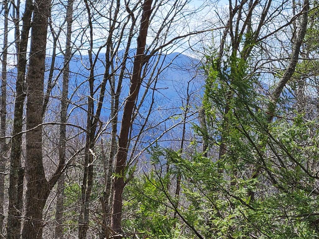 0 Camp Branch Road Topton, NC 28781 - Photo 19 of 41 Gallery Image 19