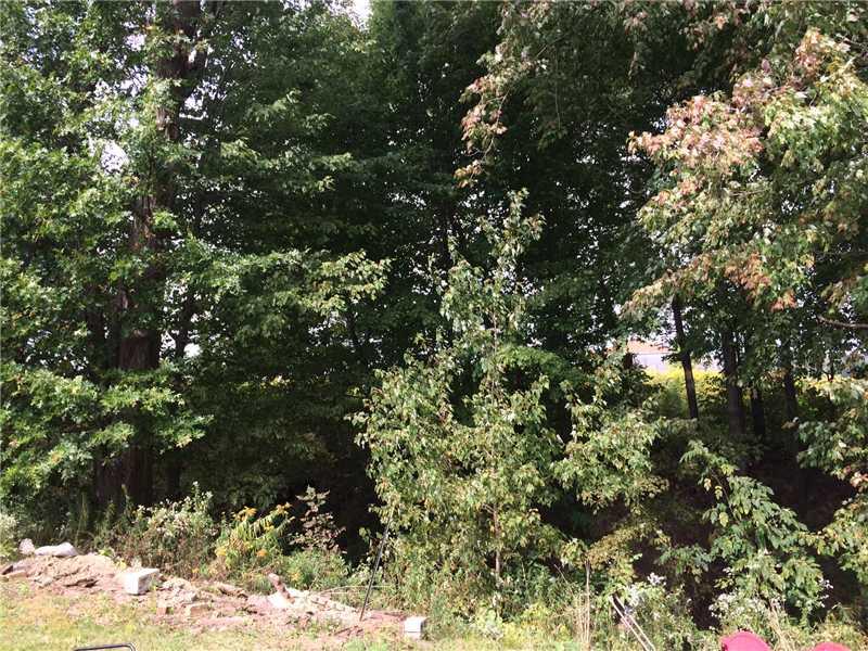 1874 Carter Road Volant, PA 16156 - Photo 13 of 20 Exterior Back.