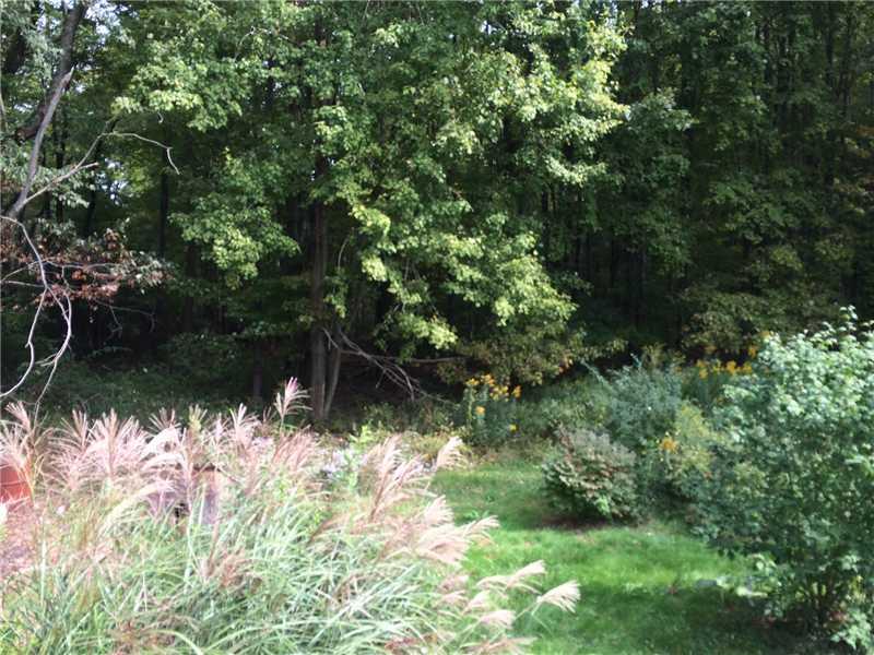 1874 Carter Road Volant, PA 16156 - Photo 15 of 20 Yard/Garden.