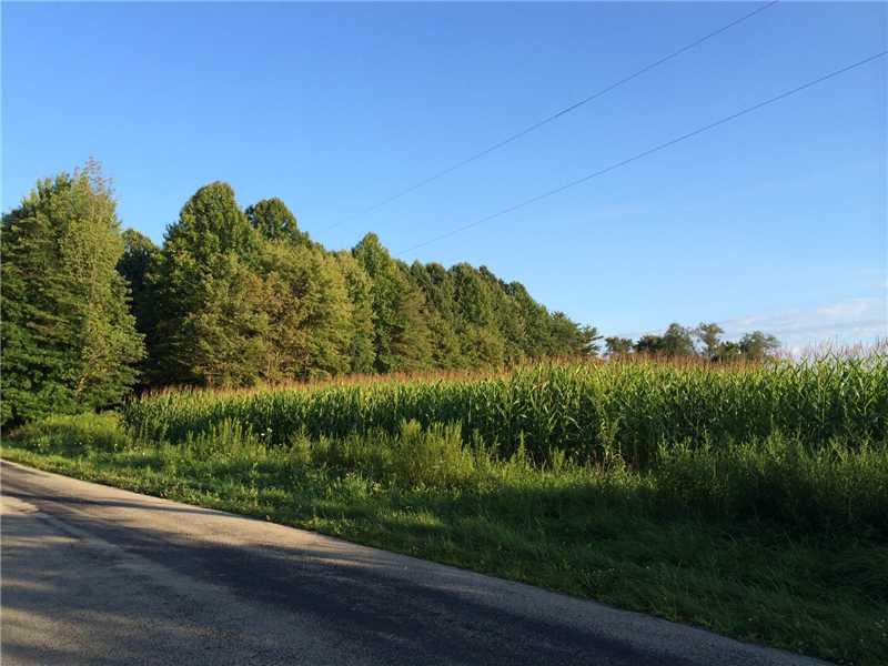 1874 Carter Road Volant, PA 16156 - Photo 16 of 20 Land.