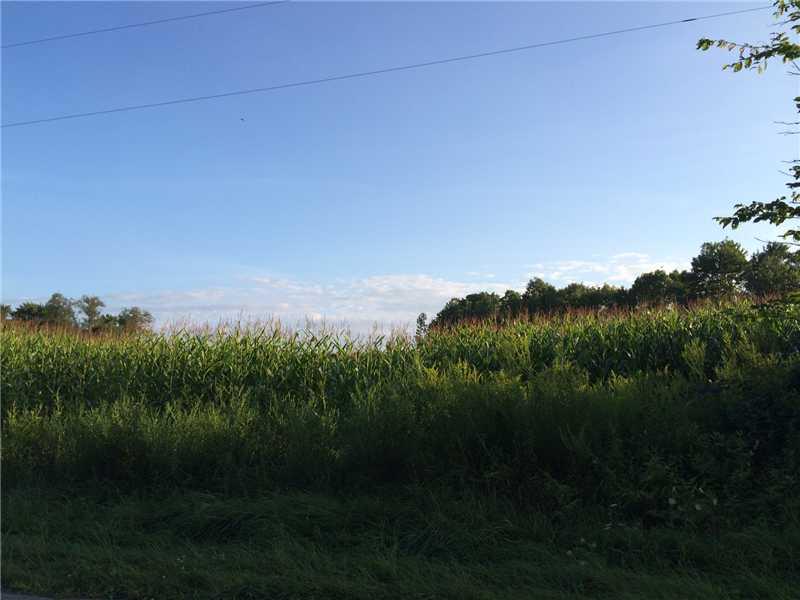 1874 Carter Road Volant, PA 16156 - Photo 17 of 20 Land.