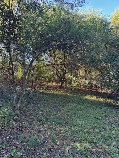 446 Patton School Road South Pittsburg, TN 37380 - Photo 5 of 21 Gallery Image 5
