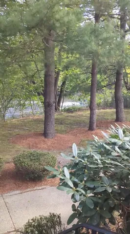 a backyard of a house with large trees