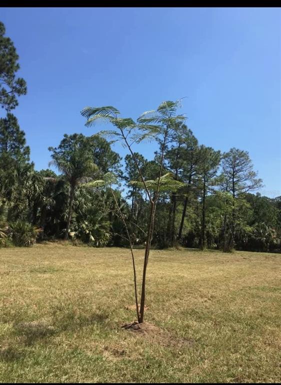 2370 Thacker Trail Kissimmee, FL 34747 - Photo 1 of 1