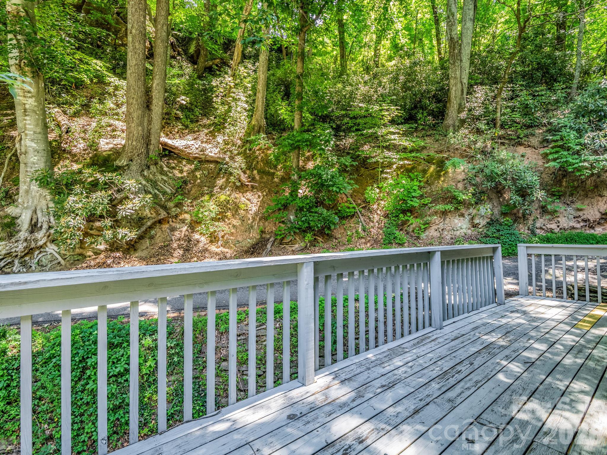 102 Little House Road Tryon, NC 28782 - Photo 30 of 43
