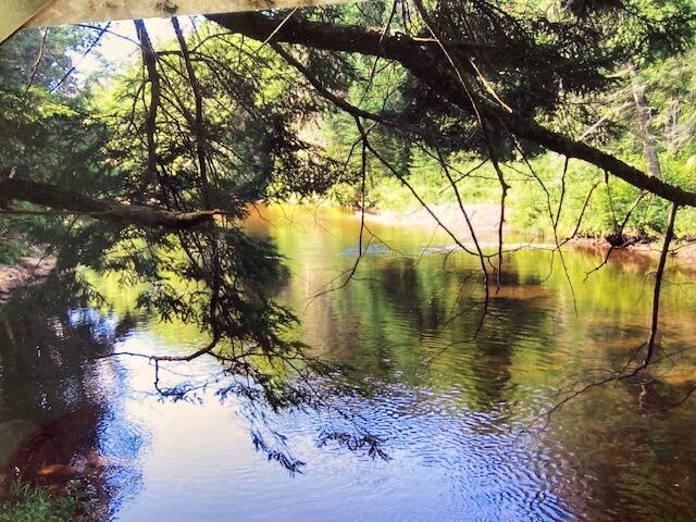 Lot 2 Elliottsville Road Guilford, ME 04443 - Photo 1 of 2 Bardosy 2