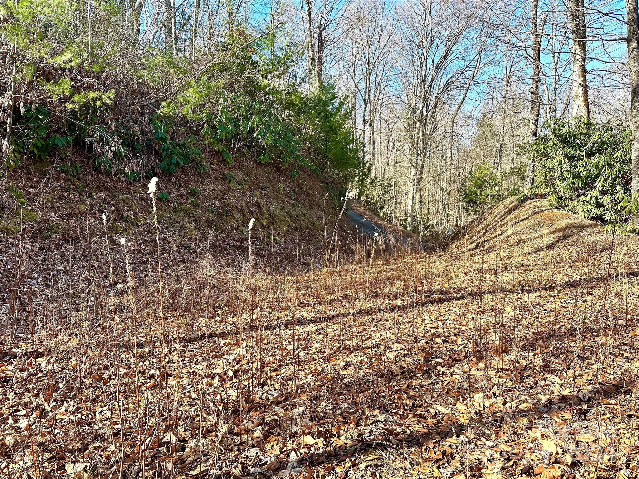 0 River Road, Unit 6 Franklin, NC 28734 - Photo 15 of 27 Gallery Image 15