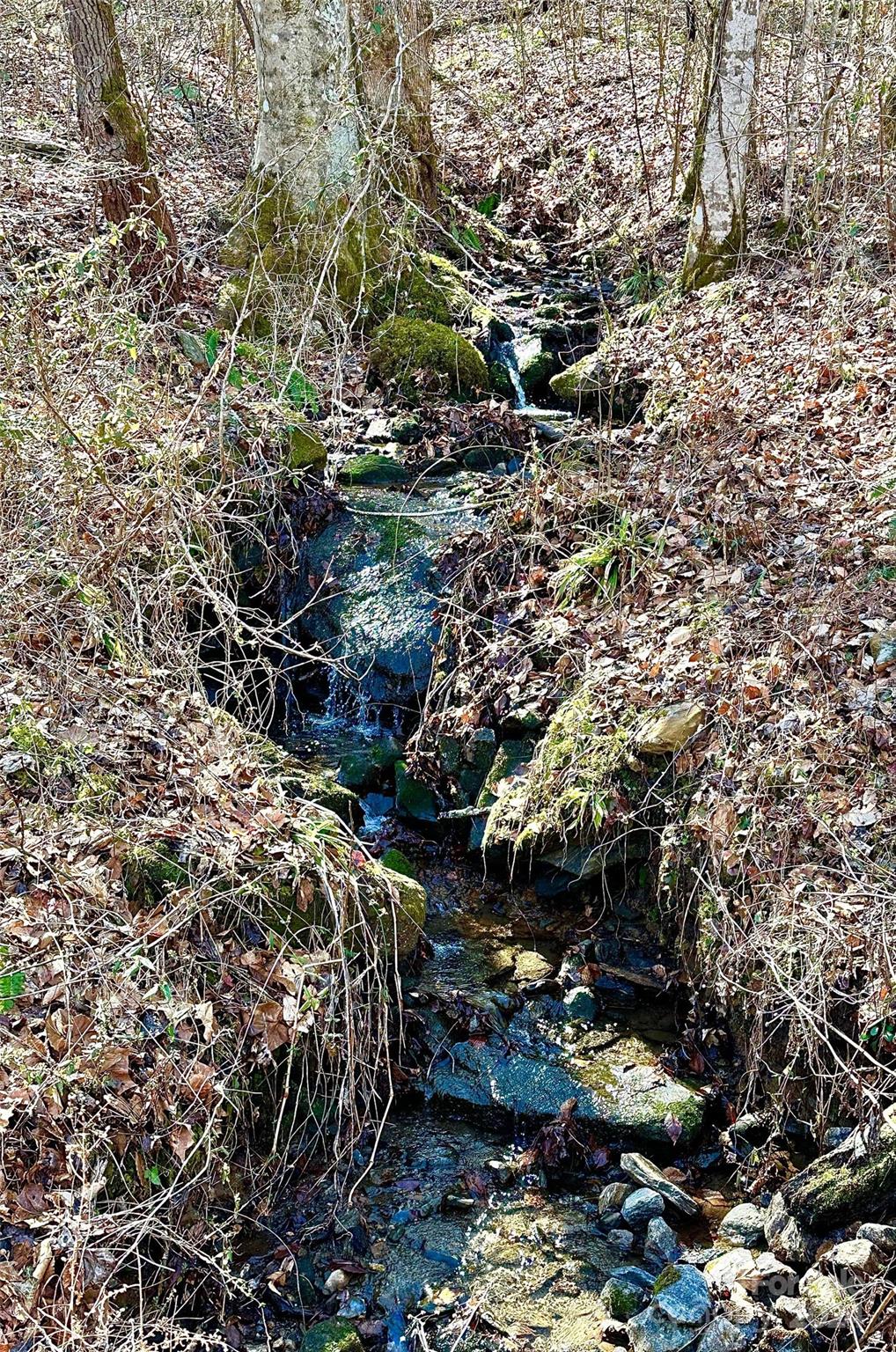 0 River Road, Unit 6 Franklin, NC 28734 - Photo 8 of 27 Gallery Image 8