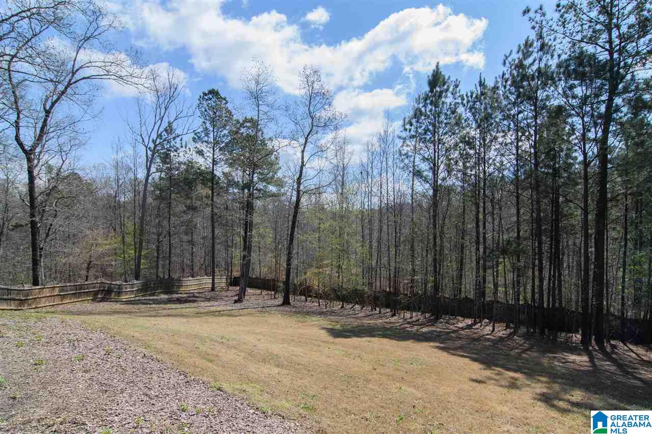 129 Astor Circle Chelsea, AL 35043 - Photo 47 of 47