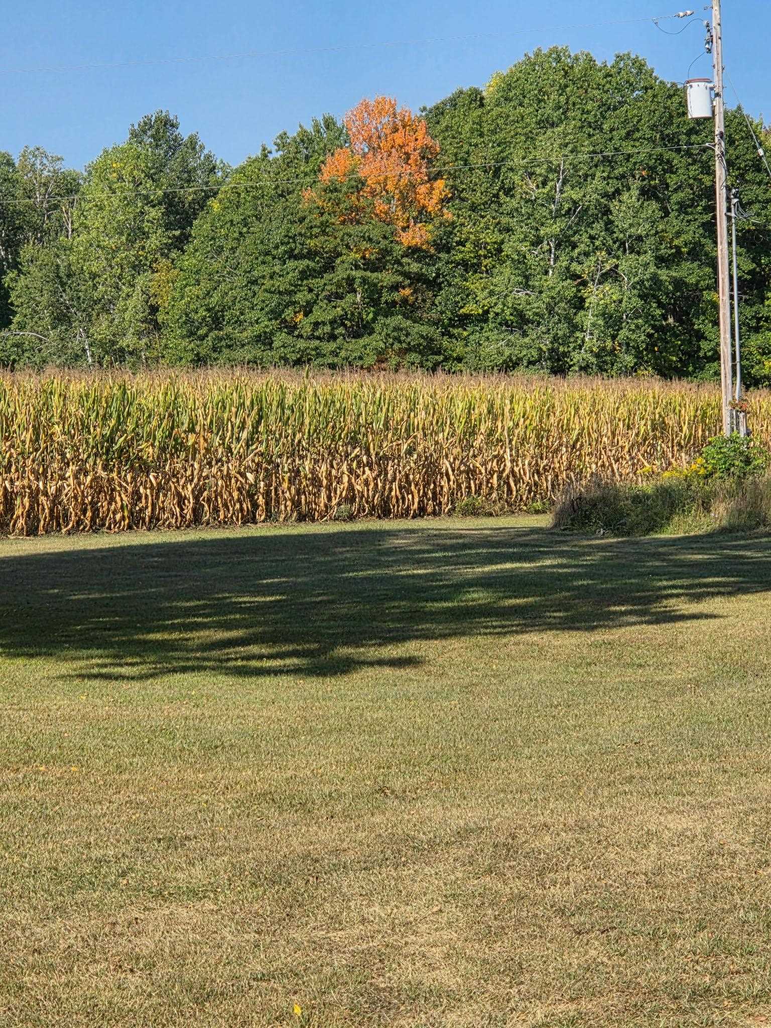 562 Lagrant Road Twining, MI 48766 - Photo 7 of 55