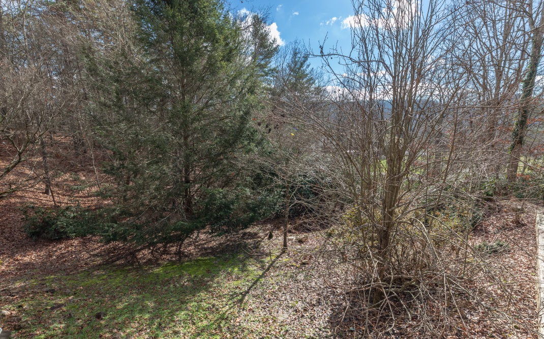 179 Chigger Ridge Road Blairsville, GA 30512 - Photo 27 of 39 Additional View