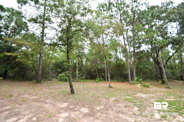 9703 Whitehouse Fork Road Bay Minette, AL 36507 - Photo 21 of 24