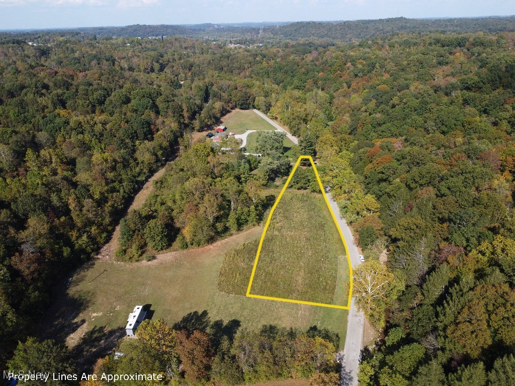 6494 Duncan Run Road Philo, OH 43771 - Photo 2 of 10 Land