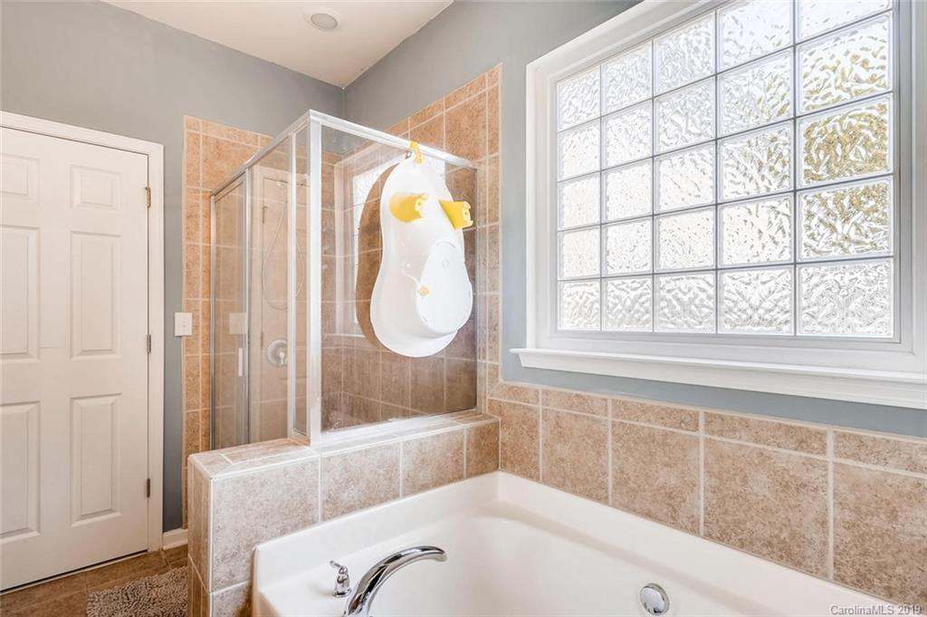 15326 Carrington Ridge Drive Huntersville, NC 28078 - Photo 19 of 32