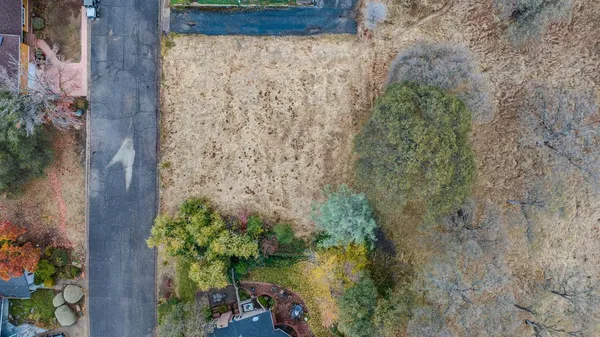 a view of a yard with plants