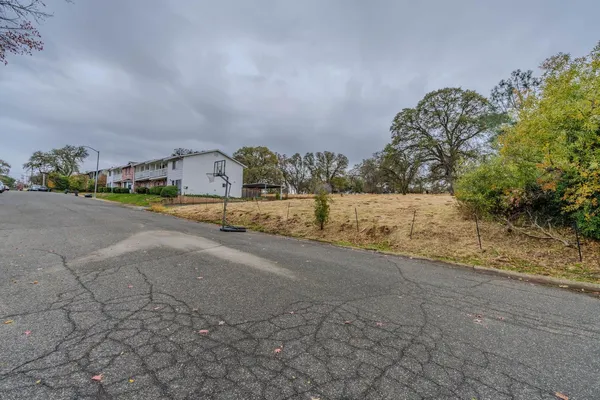 a view of a big yard with plants and a car parked in the background