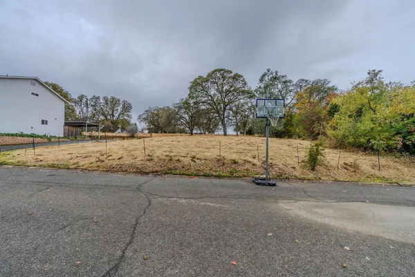 a view of dirt yard with a large tree