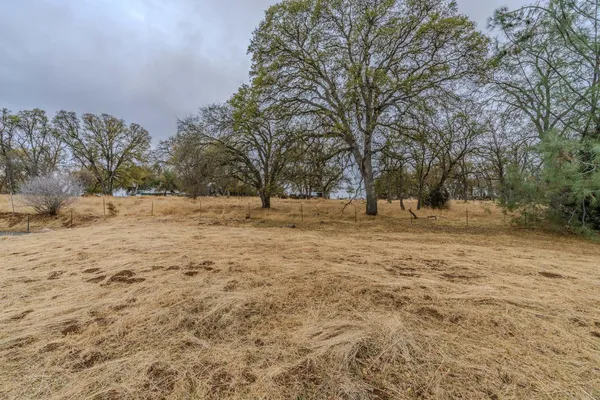 a view of empty space with trees