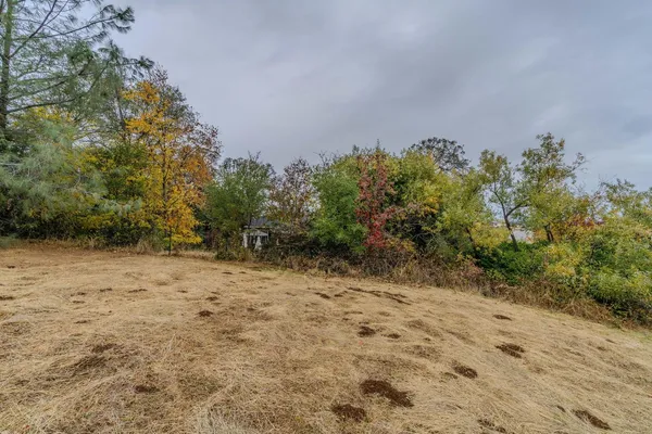 a view of a yard with a tree