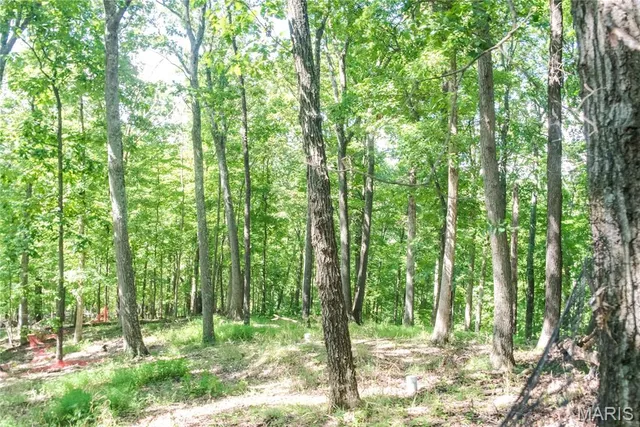 $521,000 | 3347 Wilderness Trail, Wildwood, MO 63038