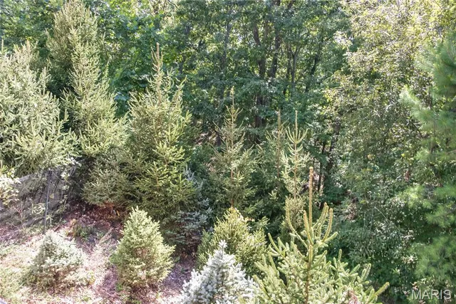 $521,000 | 3347 Wilderness Trail, Wildwood, MO 63038