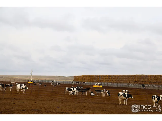 a view of a balcony with an ocean