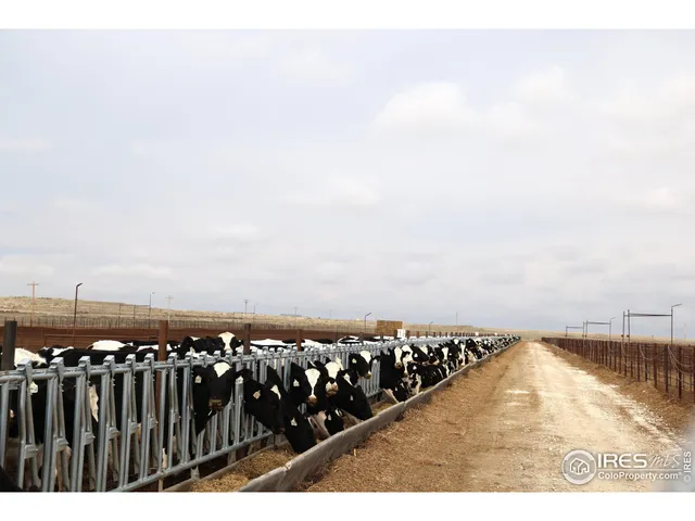 $2,250,000 | 11905 County Road 5, Merino, CO 80741