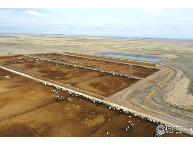 a view of an ocean beach