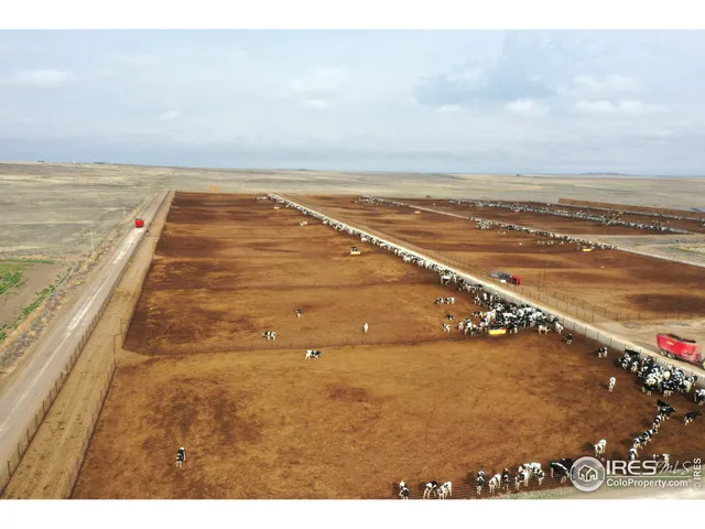 a view of an ocean and beach
