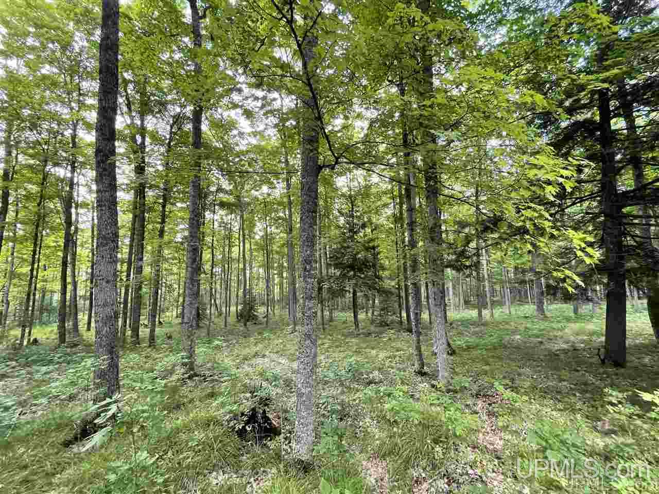 Tbd Sand Road, Unit 2 Powers, MI 49874 - Photo 24 of 38