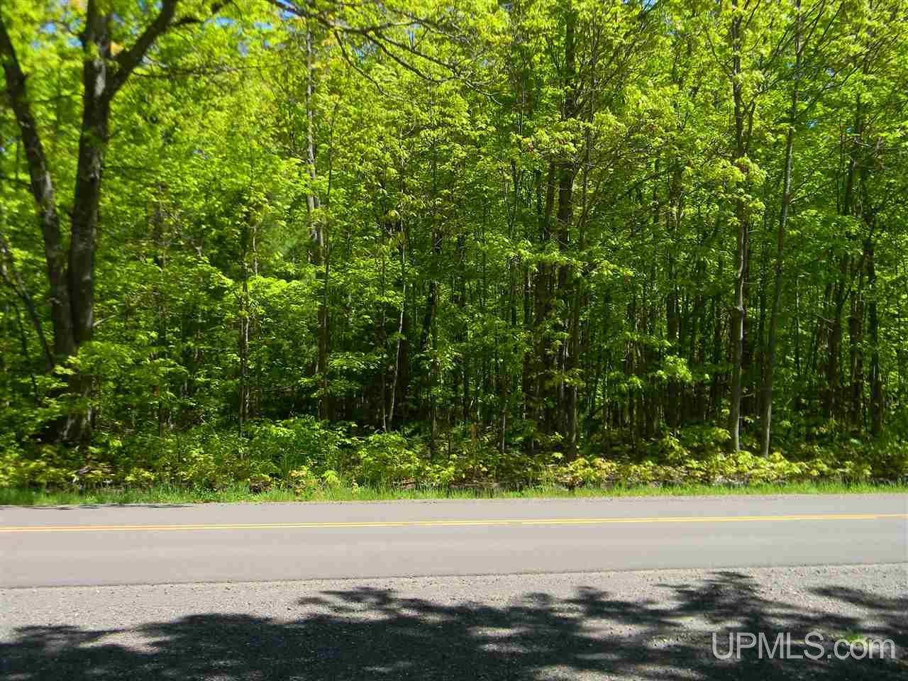 Tbd Rauhala Road, Unit LOT 5 COLES CREEK SUBDIV Atlantic Mine, MI 49931 - Photo 8 of 10