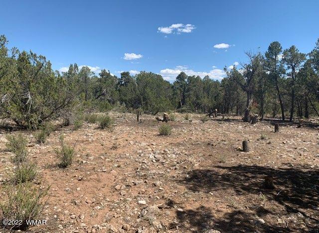 Tbd Lot B Tbd Overgaard, AZ 85933 - Photo 2 of 2 Gallery Image 2