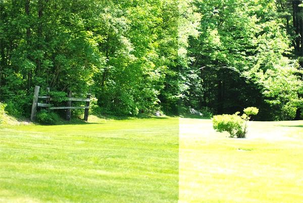 2 Sampson Road Huntington, MA 01050 - Photo 6 of 14 a view of a yard with an outdoor space