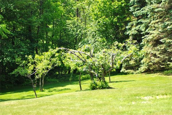 2 Sampson Road Huntington, MA 01050 - Photo 7 of 14 a view of swimming pool with a garden