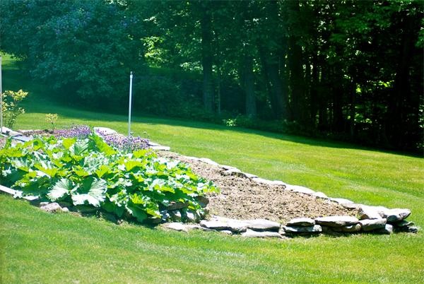 2 Sampson Road Huntington, MA 01050 - Photo 8 of 14 a green field with flowers in it