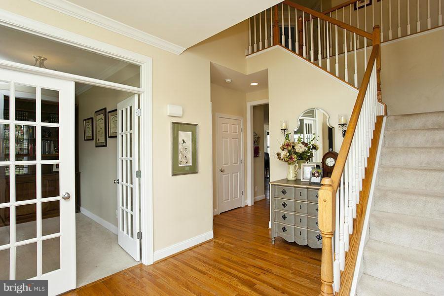 Interior (General)