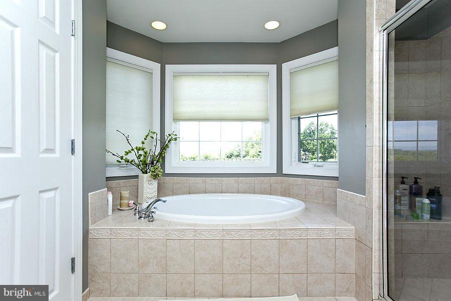 750 Shady Elm Road Winchester, VA 22602 - Photo 16 of 30 Bath (Master)