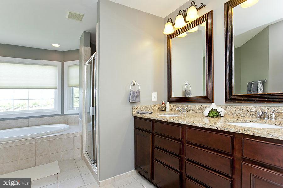 750 Shady Elm Road Winchester, VA 22602 - Photo 17 of 30 Bath (Master)