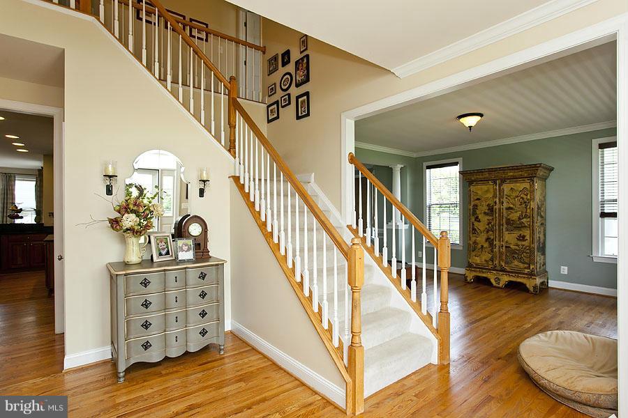 Interior (General)