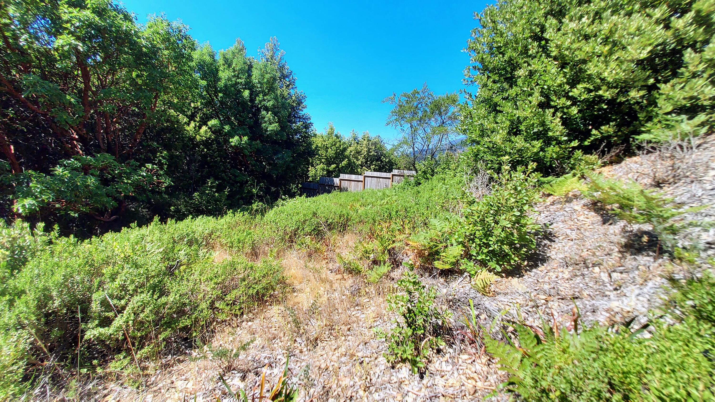 27 Cook Road Shelter Cove, CA 95589 - Photo 13 of 22