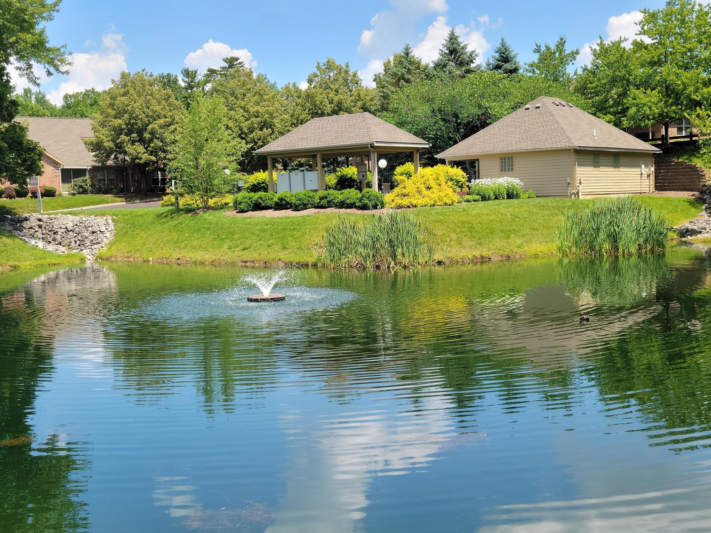 214 Cameron Ridge Drive Columbus, OH 43235 - Photo 46 of 54 View of Large Pond