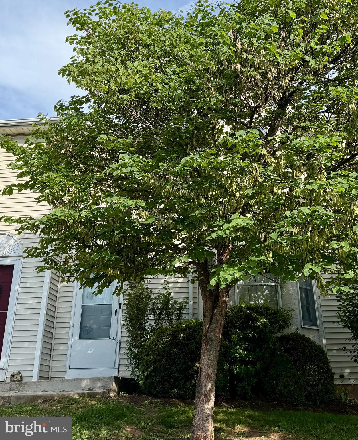 39 Mint Tier Reading, PA 19606 - Photo 2 of 47