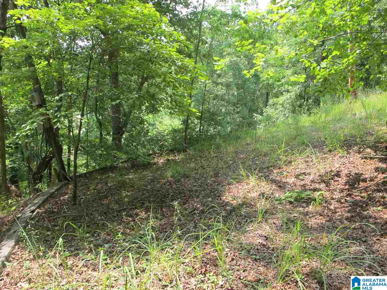 0 Edwards Drive, Unit 1 Wedowee, AL 36278 - Photo 11 of 13